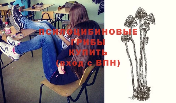 крисы Гусь-Хрустальный