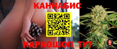 прущие грибы Мариинск