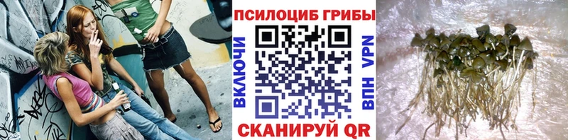 Псилоцибиновые грибы MAGIC MUSHROOMS  Ефремов 