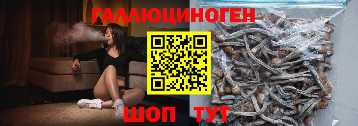 Ефремов  Галлюциногенные грибы Psilocybe  Псилоцибиновые грибы Magic Shrooms  Вход с VPN 